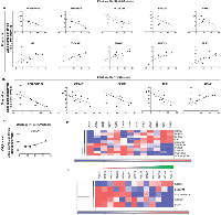 Figure 5A-E:  Gene expression profiling of the response to treatments with Obatoclax. 