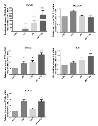 Figure  2:  Validation  of  microarray  data  using  qRT- PCR  in  WI38  cells. 