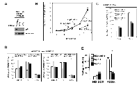 Figure 6:  P21 upregulation induced by DEPTOR knockdown mediates Apoptosis and cell cycle arrest. 