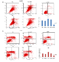 Figure 4:  Effect of paclitaxel and docetaxel on cell apoptosis Percentage of KYSE70 and KYSE150 apoptotic cells  before and after paclitaxel or docetaxel treatment, with or without 5-AZ treatment. 