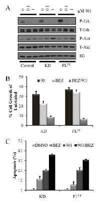 Figure 5:  Pharmacological inhibition of cells harboring  mutant BRAF. 