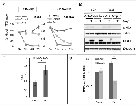 Fig 2:  CmpdA reduces growth of lung cells in a KRAS dependent manner. 