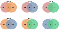 Figure 1:  Copy Number Variations shared between all groups. 