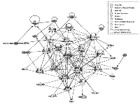 Figure 3:  IPA network between RCC+diabetes and diabetes groups. 