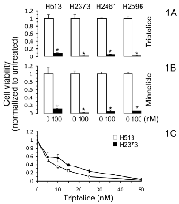 Figure 1: Triptolide or minnelide treatment suppresses mesothelioma proliferation. 