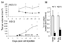 Figure 5:  Minnelide potently inhibits xenograft tumor growth. 