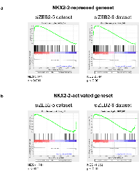 Figure 6:  The NKX2-2 and ZEB2 transcriptional profiles are inversely correlated. 