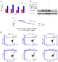 Figure 5:  Both synthetic and natural promoters are able to overexpress GADD45α to induce cell apoptosis when  combined with resveratrol. 