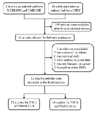 Figure 1: Flow diagram of included studies for the  association between PSCA  polymorphisms and overall  cancer susceptibility.