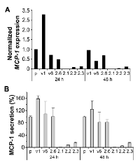 Figure 1: Suppressed expression of CCL2 (MCP-l) in the GBM cell line U251HF expressing transfected PAX6 (2.1,  2.2, and 2.3) as compared with non-transfected (p), vector transfected (vi, v6) and negative PAX6-transfected (2.6)  cells. 