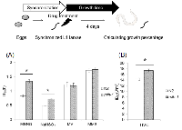 Figure 2:  mlh-1(ok1917) worms showed increased percent growth under mutagen treatment. 