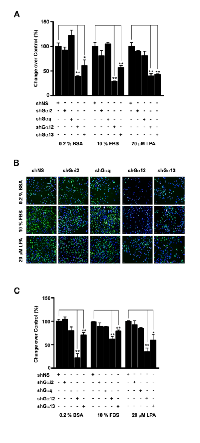 Figure  1: Effect  of  silencing  Gα-subunits  in  the proliferation of SKOV3 cells.  (A) 