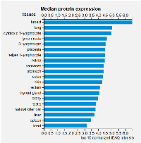 Figure 3:  Mdig/MINA expression in human tissues revealed by mass spectroscopy-based analysis of the human  proteome. 