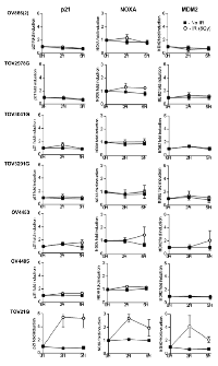 Figure 5: Analysis of p53 function in the different cell lines by RT Q-PCR. 