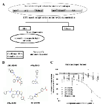 Figure 2:  Screening for inhibitors of p52 NF-κB subunit and AR interaction. 