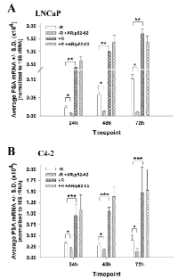 Figure 4:  AR/p52-02 decreases PSA mRNA under low  androgen conditions in LNCaP and C4-2 cells. 