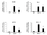 Figure 6:  Pharmacological inhibition of SIRT1 decreases H3K27me3 mark at ECAD, MAP1B and METTL7A gene  promoter. 