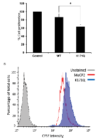Figure 7:  Over-expression of K171Q mutant decreases proliferation of RKO colon cancer cells. 