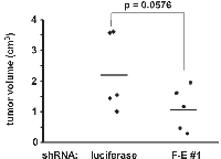 Figure 6:  The effect of FLI-1-EWS silencing on Ewing sarcoma tumorigenicity. 