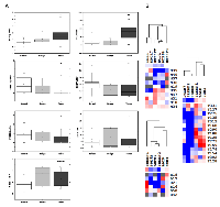 Figure 2:  Analysis of gene expression. 