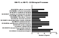 Figure 4:  Most enriched GO biological processes terms between MM-PC and ND-PC, after bioinformatics analyses. 