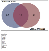 Figure 5:  Venn Diagram representing the overlapping  of upregulated proteins between both comparisons  (MM-PC vs ND-PC and U266 vs RPMI-8226). 