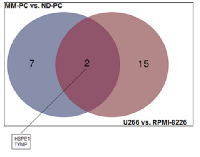 Figure 6:  Venn diagram representing the overlapping  of downregulated proteins between both comparisons  (MM-PC vs ND-PC and U266 vs RPMI-8226). 