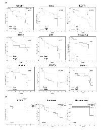 Figure 2:  Overall survival and CRBP-1 and other biomarker expression in lung adenocarcinoma patients. 