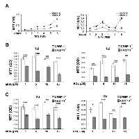 Figure 3:  Viability and retinoid-related survival of CRBP-1-transfected A549 adenocarcinoma cells. 