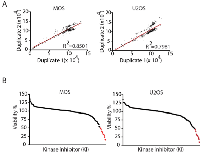 Figure 1: Kinase inhibitor screen in two human osteosarcoma cell lines. 