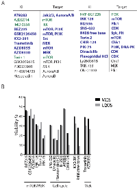 Figure 2:  Selection of hits in two human osteosarcoma cell lines. 