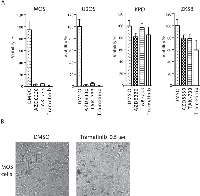 Figure 5:  Validation of sensitivity to MEK inhibitors in a 3D culture system. 