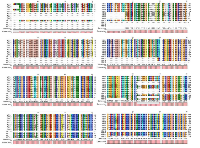 Figure 1: Alignment of WT1 isoforms. 