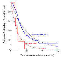 Figure 2: Comparison of OS by MET copy number.