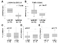 Figure 4:  UBE4B  Expression Compared to Chromosome 1p36 Status. 