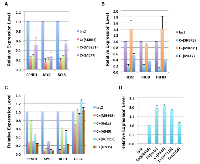 Figure 2:  E1A 1-80 repression of genes identified by RNA-seq analysis. 