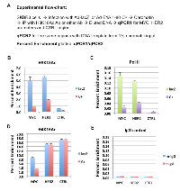 Figure 3:  E1A 1-80 inhibition of RNA Pol II binding to and H3K18 acetylation on MYC and HER2 promoters in  SKBR3 cells. 