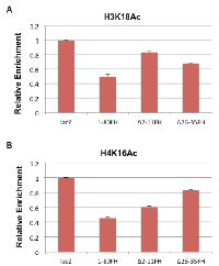 Figure 6:  Inhibition of H3K18 and H4K16 acetylation  is  correlated  with  E1A  1-80  targeting  of  p300  and  TRRAP, respectively. 