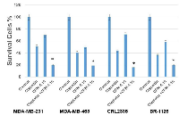 Figure 1:  MDA-MB-231, MDA-MB-468, CRL2335 and BR-1126 (PDX derived TNBC cell line) were treated with CFM-4.16 (10  µM), cisplatin (10µg/ml) or CFM-4.16 (10 µM) plus cisplatin (10µg/ml) for 24 hours. 