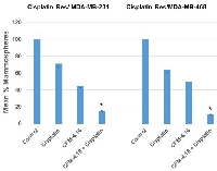 Figure 4:  Effect of CFM-4.16 plus cisplatin treatment on the ability of cancer stem cells to form mammospheres. 