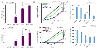 Figure 4:  The effects of AD80 and/or BMS777607 treatment on cell proliferation, cell viability and inhibition of protein  synthesis. 