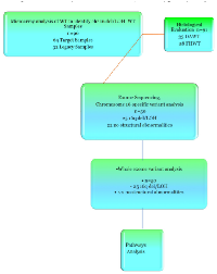 Figure 1: Flow Chart of Experiments. 
