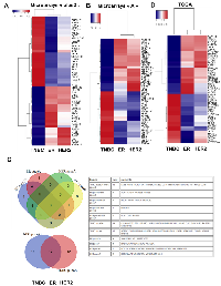 Figure 1: Breast cancer subgroups are associated with a specific autophagy gene expression signature. 