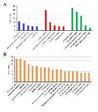 Figure 2:  The top 5 most significantly enriched GO terms of DEGs in the categories of biological process (shown  in blue), molecular function (shown in red) and cellular component (shown in green) (A) and the super pathways  identified for the DEGs using GeneALaCart (B).