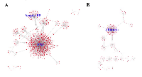 Figure 3:  The PPI network of the significantly upregulated DEGs with FN1 (encoded by gene FN1 ) and Serpin  B5 (encoded by gene SERPINB5 ) as the most connected proteins (A); and the PPI network of the significantly  downregulated DEGs with albumin (encoded by gene ALB ) as the most connected protein (B).