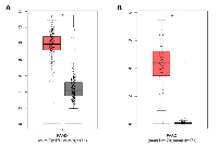 Figure 6:  Boxplots showing the expression of gene  