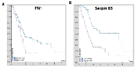 Figure 7:  Kaplan-Meier plots of the patient survival probability versus the mRNA expression level of FN1  (A) and 