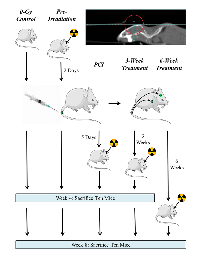 Figure 1: Experimental design.  