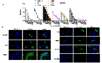 Figure 4:  PCaA-SEV induces humoral immune response. 