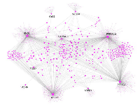 Figure 3:  The protein-protein interaction (PPI) network for proteins encoded by the 5 pairs of genes with correlation  changes consistent across all 12 types of cancer.